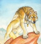 Аватар Golden wolfen