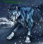99px.ru аватар Злой волчара