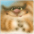 Аватар Котик