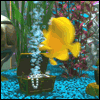 Аватар my bubbles