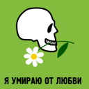 Аватар Я умираю от любви