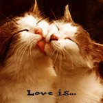 99px.ru аватар Love is...