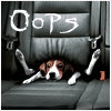 99px.ru аватар Oops...