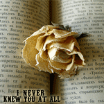 Аватар I never knew you at all