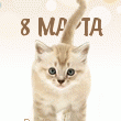 Аватар Котенок и надпись 8 марта