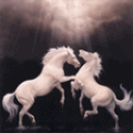 99px.ru аватар пара лошадей