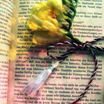 Аватар Цветы на книге