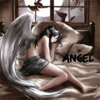 Аватар Angel (одинокий парень)