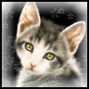 99px.ru аватар Котёночек