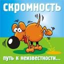 Аватар Скромность - путь к неизвестности...