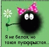 Аватар Я не белая, но такая пуффыстая...