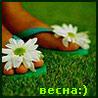 Аватар весна:)