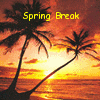 Аватар Spring Break