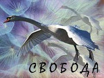 99px.ru аватар Свободные лебеди