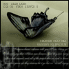 Аватар Butterfly