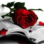 Аватар Роза и Книга