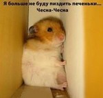 Аватар Я больше не буду пи***ть печеньки.... Чесна-чесна (хомячок застрял между шкафами)