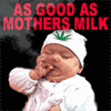 99px.ru аватар as good as mothers milk