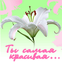 Аватар Ты самая красивая...