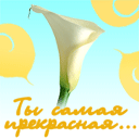 Аватар Ты самая прекрасная...