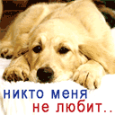 Аватар Никто меня не любит