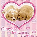 Аватар О тебе все мысли и мечты