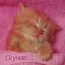Аватар скучаю..