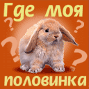 99px.ru аватар Где моя половинка?