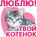 Аватар Люблю! Твой котёнок