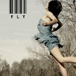 Аватар fly