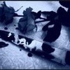 Аватар Black Rose