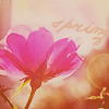99px.ru аватар Spring