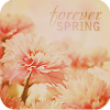 Аватар Forever spring