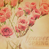 Аватар Forever spring