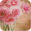 Аватар Forever spring