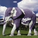 99px.ru аватар Слон Milka