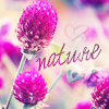 99px.ru аватар Nature (spring)