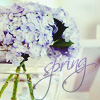 99px.ru аватар spring...