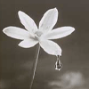 Аватар Bloom (spring)
