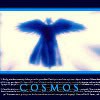 Аватар Cosmos