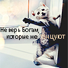 Аватар не верь Богам, которые не танцуют