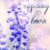 Аватар spring love...