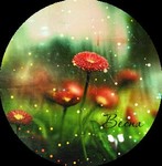 Аватар цветы полевые