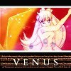 Аватар Venus