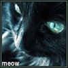 99px.ru аватар черный кот (meow)