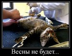 99px.ru аватар Весны не будет