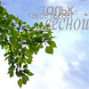 Аватар такое бывает только весной