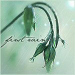 Аватар first rain