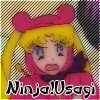 Аватар Усаги из аниме Сейлор Мун (Ninja! Usagi!)