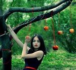 Аватар срывая яблоки